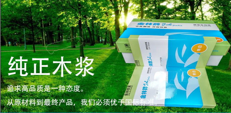 金林 A5 70g 復(fù)印紙 500張/包 20包/箱